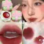 Son dưỡng môi 2 trong 1 Matte Blush & Lip Balm Full Coverage Makeup Lip Balm dành cho người mới bắt đầu Chuyên gia trang điểm