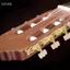 Toyuvn ACAGALA Acrylic Dây Đàn Guitar Cổ Điển Chỉnh PEG Chỉnh Máy Đầu Vàng