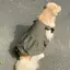 【Ready Stock】 Summer Thin Dog Clothes Cool Medium Large Dog Golden Retriever Husky Samo Pet Cute Anti-Lint Skirt Xcsa