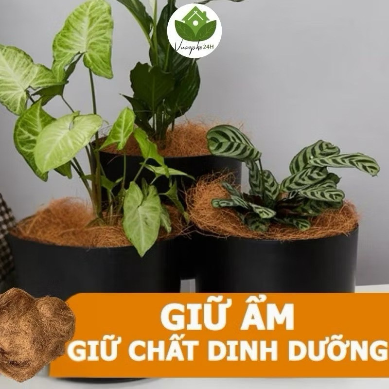 ( Chỉ cước xơ dừa buộc lan bonsai – sợi siêu dai – 1kg giá rẻ )