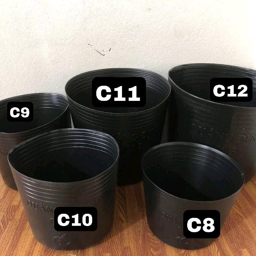 [50c] Chậu nhựa C6 Liên An ( 14×12 ) chất liệu nhựa HPDE chậu nhựa cao cấp hàng xuất khẩu