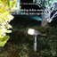 Đèn LED Solar Spotlight, Đèn Cắm Cỏ Chống Nước IP65,Trắng/Vàng/Màu, Đèn Trang Trí Sân Vườn Ngoài Trời