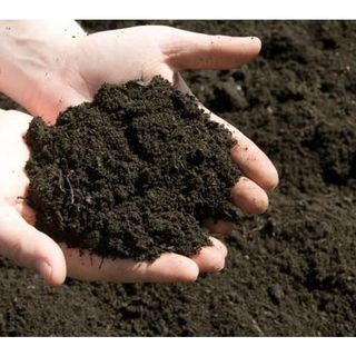 Phân hữu cơ hoai mục bón hoa, rau củ quả cực tốt - Hàng công ty loại 1
