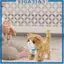 Meowing Walking Kitty Plush Toy Tail Wagging Đa năng cho trẻ mới biết đi 18x10x17cm với chức năng ghi âm Mô phỏng thú cưng điện tử