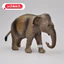 Schleich Mẹ Châu Á Voi 14753 Voi Mô Phỏng Thảo Nguyên Động Vật Hoang Dã Mô Hình Đồ Chơi Trẻ Em