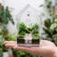 Vỏ nhện nhảy COCODECOVED, Tarantula Terrarium khai trương phía trước di động, Lỗ thông gió trong suốt có thể tháo rời được lắp sẵn cho thú cưng nhỏ