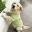 【Ready Stock】 Avocado Green Big Dog Clothes Samoyed Golden Retriever T-shirt Medium Large Dog Dog Thin Clothes pBh4