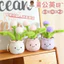 Rytanda Dễ Thương Mềm Bồ Công Anh Đồ Chơi Sang Trọng Cho Bé Trai Bé Gái Sang Trọng Búp Bê Cây Xanh Gốm Gối Ngủ Cho Bé Quà Tặng Ngày Trẻ Em Trang Trí Phòng Ngủ Quà Tặng Sinh Nhật Quà Tặng Sinh Nhật
