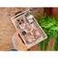 Ốp Lưng SwitchEasy Fleur Magnet 3D Cho IP 16 / 17 Pro Max - Thời Trang Nữ, Chống Sốc, Sạc Từ Tính Magnetic