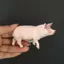 Sile Mô Phỏng Nữ Piglet 1782 Mô Hình Động Vật Gia Cầm Thân Thiện Với Môi Trường PVC Mầm Non Đồ Chơi Giáo Dục