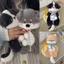 Túi đựng bút TUYỆT VỜI, Bút chì sang trọng dung tích lớn, INS Phim hoạt hình Puppy Tổ chức văn phòng phẩm Sinh viên