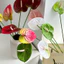 hoa giả trang trí nhà cửa hoa hồng môn 3d cao cấp decor phòng khách sang trọng hoa giả đám cưới bình hoa nghệ thuật đặt bàn đẹp