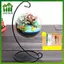 SWEET Treo Bình Thủy Tinh Hoa Cây Bàn Bình Đứng Terrarium Handmade n