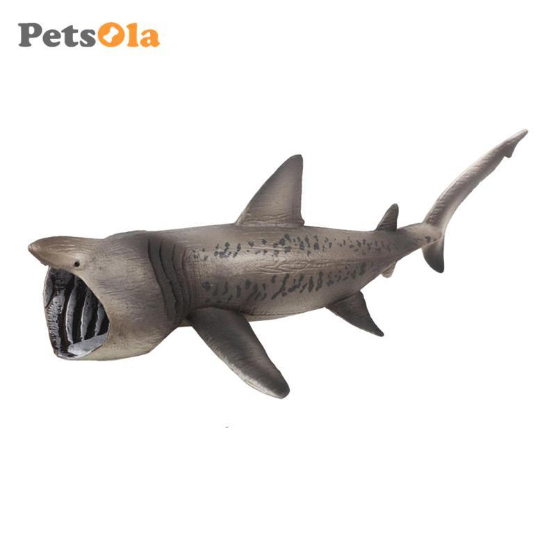 Basking Shark Mô Hình Bộ Sưu Tập Mô Hình Playset Giáo Dục Đồ Chơi Học Tập Sinh Vật Nhân Vật Bộ Sưu Tập Chơi Giảng Dạy