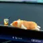 Ge Sáng Tạo Mini Ngủ Corgi Xe Trang Trí Trung Tâm Điều Khiển Trang Trí Mô Phỏng Dễ Thương Nhựa Động Vật Búp Bê Nội Thất Ô Tô Adorns n