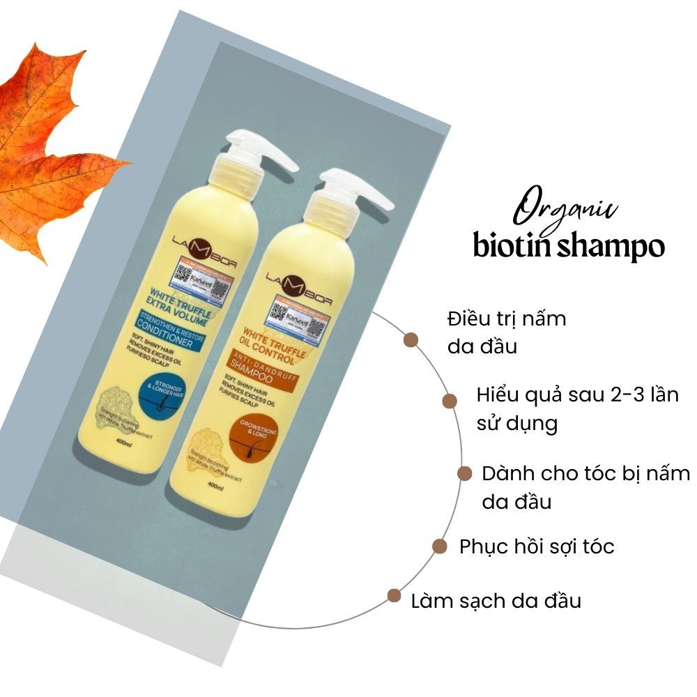 Cặp Dầu Gội Xả LAMBOR VÀNG 1000ml – Phục Hồi Tóc Hư Tổn, Sạch Gàu, Kiềm Dầu & Ngăn Gãy Rụng