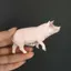 Sile Mô Phỏng Nữ Piglet 1782 Mô Hình Động Vật Gia Cầm Thân Thiện Với Môi Trường PVC Mầm Non Đồ Chơi Giáo Dục