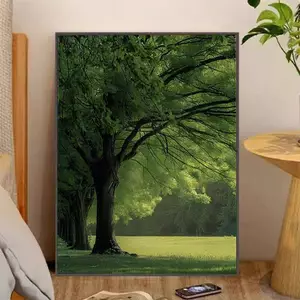 Green Summer Scenery Canvas Wall Art Fresh Forest Landscape Healing Home Decor for Living Room Bedroom Unframed