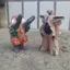 Gallagon Monster Búp bê cao su mềm Daina Đầu cơ ba mặt Quái thú Đồ chơi trẻ em Trang trí thủ công Quà tặng nam