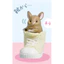 Hàng có sẵn Đồ chơi viên nang YELL Nhật Bản giấu hàng xóm của tôi Totoro Đồ trang trí Peekaboo Biểu hiện nhỏ dễ thương KS0C