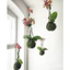 ( quả cầu kokedama đủ kích thước( làm từ rêu tự nhiên hàng làm thủ công) )