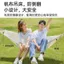Võng Ngoài Trời Người Lớn Dày Xoay Đôi Chống Lăn, Phù Hợp Treo Trong Phòng Ngủ Sinh Viên