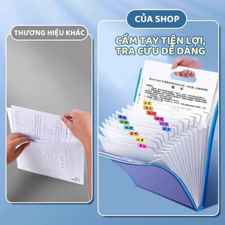 Túi Đựng Tài Liệu Dọc Cầm Tay – Chất Liệu PP Dung Tích Lớn, Có Ngăn Phân Loại Hồ Sơ