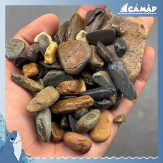. Cát, Sỏi, Sạn Suối, Đá Cuội Trải Nền Hồ Cá Tép, Thuỷ Sinh Hồ Biotope, Hồ Bán Cạn | Cá Mập Aqua ,.