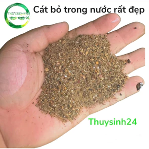 Cát suối Tự Nhiên | cát biotop - black water | trang trí trãi nền bể thủy sinh bể cá cảnh siêu đẹp sỏi suối ...