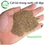 Cát suối Tự Nhiên | cát biotop - black water | trang trí trãi nền bể thủy sinh bể cá cảnh siêu đẹp sỏi suối ...