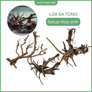 Lũa Sa Tùng - Setup Layout Bể Thủy Sinh - Trang Trí Hồ Cá ...