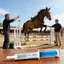 Ngựa Dewormer Dán Ngựa Chống Giun Kem Ngựa Bay Đi Dán Cho Trang Trại Ổn Định Barn Stall Ngoài Trời Sân Sau jiwvn