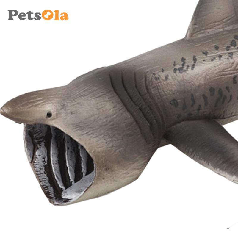 Basking Shark Mô Hình Bộ Sưu Tập Mô Hình Playset Giáo Dục Đồ Chơi Học Tập Sinh Vật Nhân Vật Bộ Sưu Tập Chơi Giảng Dạy