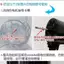 Quạt Điện Lưỡi Làm Dày Đa Năng Tầng Quạt Bàn Quạt Treo Tường Quạt Phụ Kiện Quạt Quạt Lá Quạt Điện Cánh Quạt