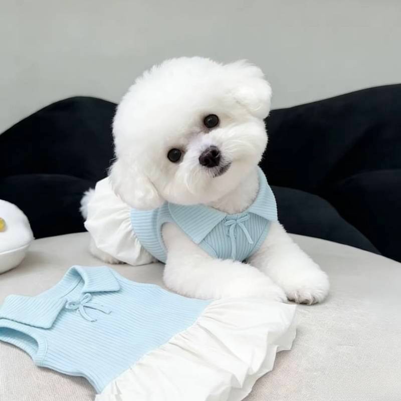 【Ready Stock】 Pet Dog Cat Polo Collar Dress Summer Thin Small Dog Bichon Maltese York Summer Clothes q5cR