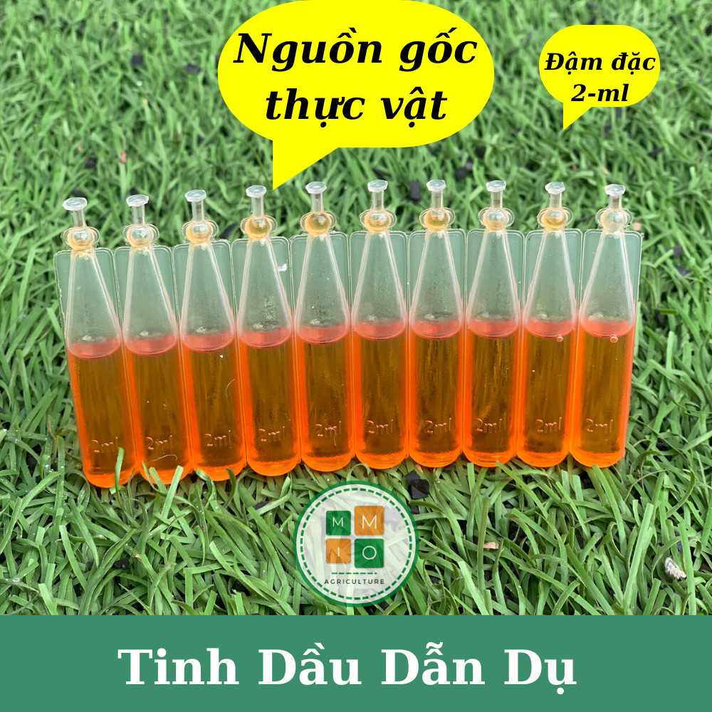 【24H】Ống Mốt Trắng Bẫy Ruồi Vàng, Tinh Chất Dẫn Dụ Sinh Học Hiệu Quả, Nhựa Cứng Bền Chống Mưa Nắng, Tiện Lợi, Giá Rẻ