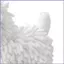 Khăn Cho Chó Chenille Dễ Thương Thấm Hút Mềm Trang Trí Giặt Tay Khô Puff Cho Nhà Bếp Phòng Tắm Tự Động Ngoại Thất mueadsyvn
