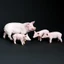 Sile Mô Phỏng Nữ Piglet 1782 Mô Hình Động Vật Gia Cầm Thân Thiện Với Môi Trường PVC Mầm Non Đồ Chơi Giáo Dục