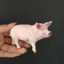 Sile Mô Phỏng Nữ Piglet 1782 Mô Hình Động Vật Gia Cầm Thân Thiện Với Môi Trường PVC Mầm Non Đồ Chơi Giáo Dục