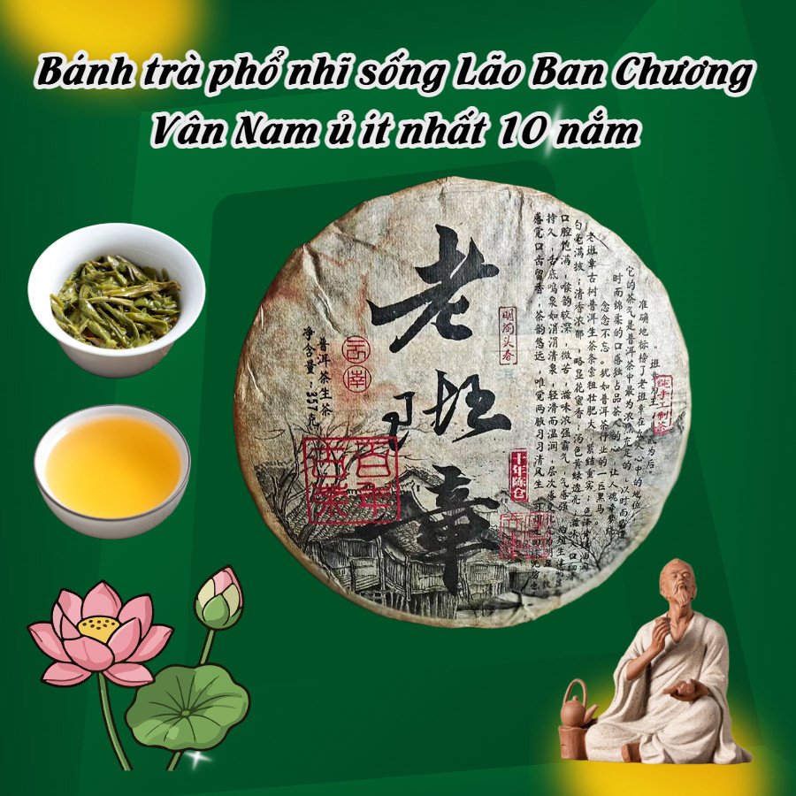 BÁNH TRÀ PHỔ NHĨ SỐNG LÃO BAN CHƯƠNG TRÀ NGUYÊN LIỆU Ủ NĂM 2006