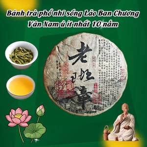 BÁNH TRÀ PHỔ NHĨ SỐNG LÃO BAN CHƯƠNG TRÀ NGUYÊN LIỆU Ủ NĂM 2006