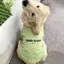 【Ready Stock】 Avocado Green Big Dog Clothes Samoyed Golden Retriever T-shirt Medium Large Dog Dog Thin Clothes pBh4