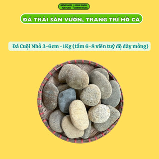 AAA Đá Cuội Setup Bể Cá Thuỷ Sinh, Đá Trang Trí Sân Vườn , Cuội To Làm Viên Chủ Hồ Cá Biotop & Hồ Cá Koi