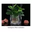 LAKAM 1 Cái Hộp Giống, Thìa nở Nhỏ Chiên Bể Cá Hộp Cách Ly, Acrylic Bền Đẹp Bộ Chia Thủy Canh Hộp Thực Vật Thủy Canh Phụ Kiện Bể Cá
