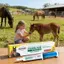 Ngựa Dewormer Dán Ngựa Chống Giun Kem Ngựa Bay Đi Dán Cho Trang Trại Ổn Định Barn Stall Ngoài Trời Sân Sau jiwvn