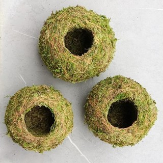 Cầu rêu kokedama size 15cm để trồng cây ...vv