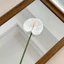 hoa giả trang trí nhà cửa hoa hồng môn 3d cao cấp decor phòng khách sang trọng hoa giả đám cưới bình hoa nghệ thuật đặt bàn đẹp