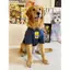 【Ready Stock】 Cute Large Dog Dog Dog Clothes Summer Labrador Golden Retriever Samoyed T-shirt Pet Big Dog Clothes Tide C4JV