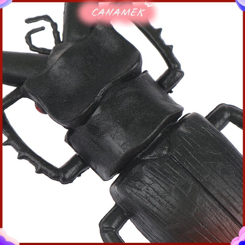 CANAMEK Mô phỏng bọ cánh cứng đồ chơi mô hình đặc biệt giống như thật đồ chơi côn trùng hỗ trợ giảng trò đùa CSF