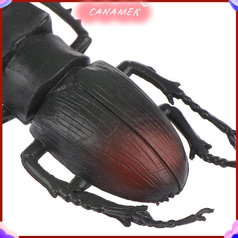 CANAMEK Mô phỏng bọ cánh cứng đồ chơi mô hình đặc biệt giống như thật đồ chơi côn trùng hỗ trợ giảng trò đùa CSF